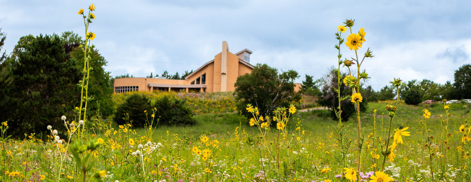 Wisdom Prairie Summer Tour 2026